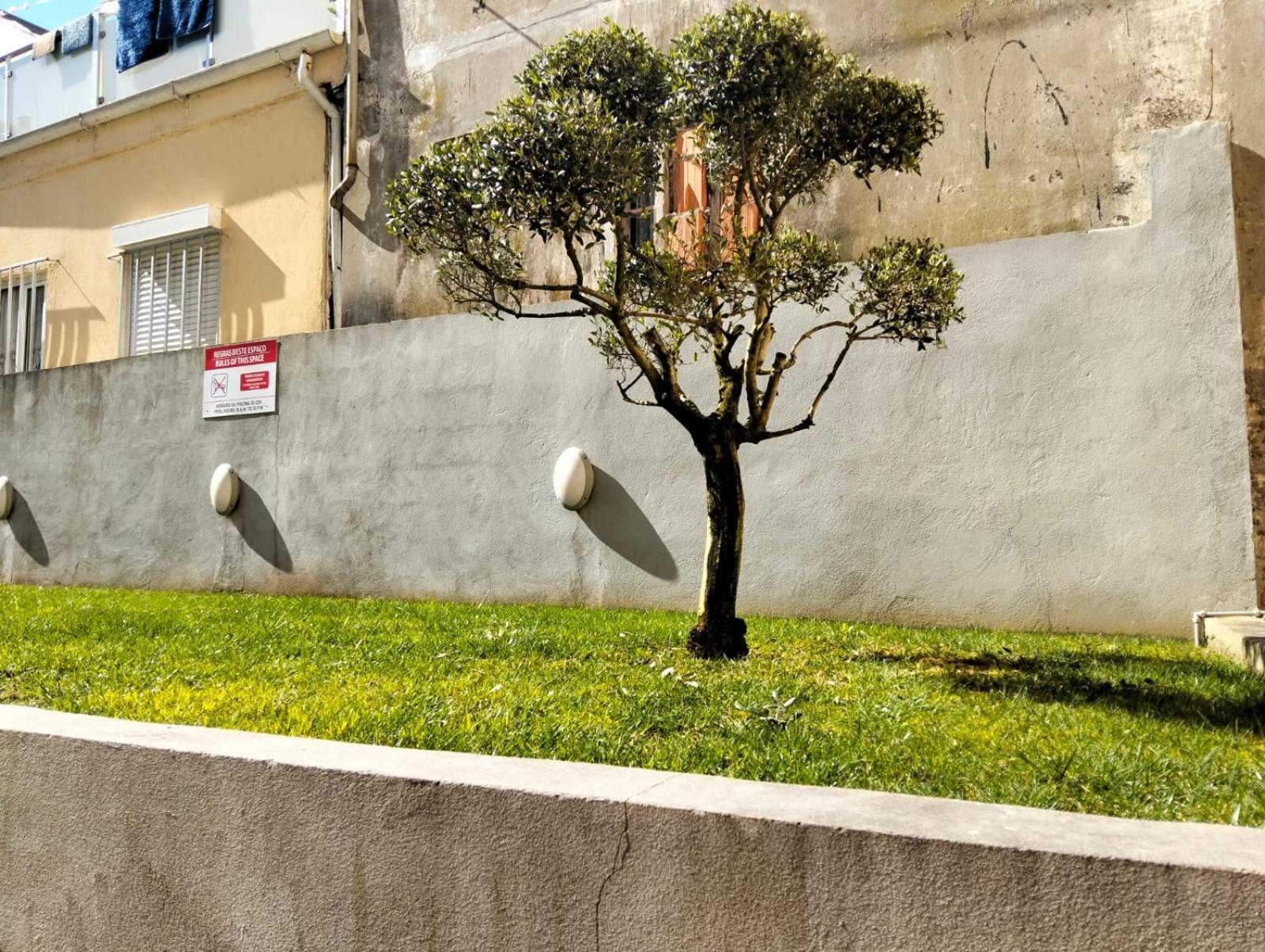 Douro By Your Side With Pool Vila Nova de Gaia Exterior foto